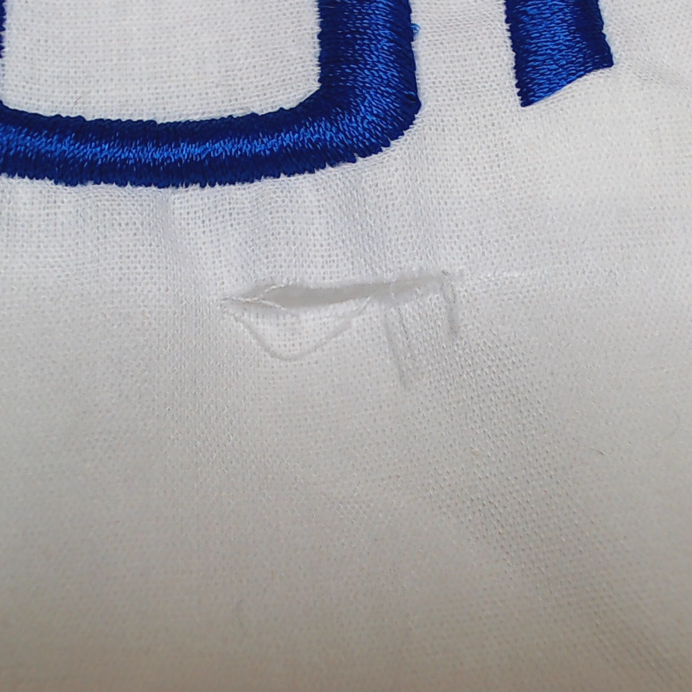 BLOOPER ACCESSORY: Monogrammed Pillow Sham