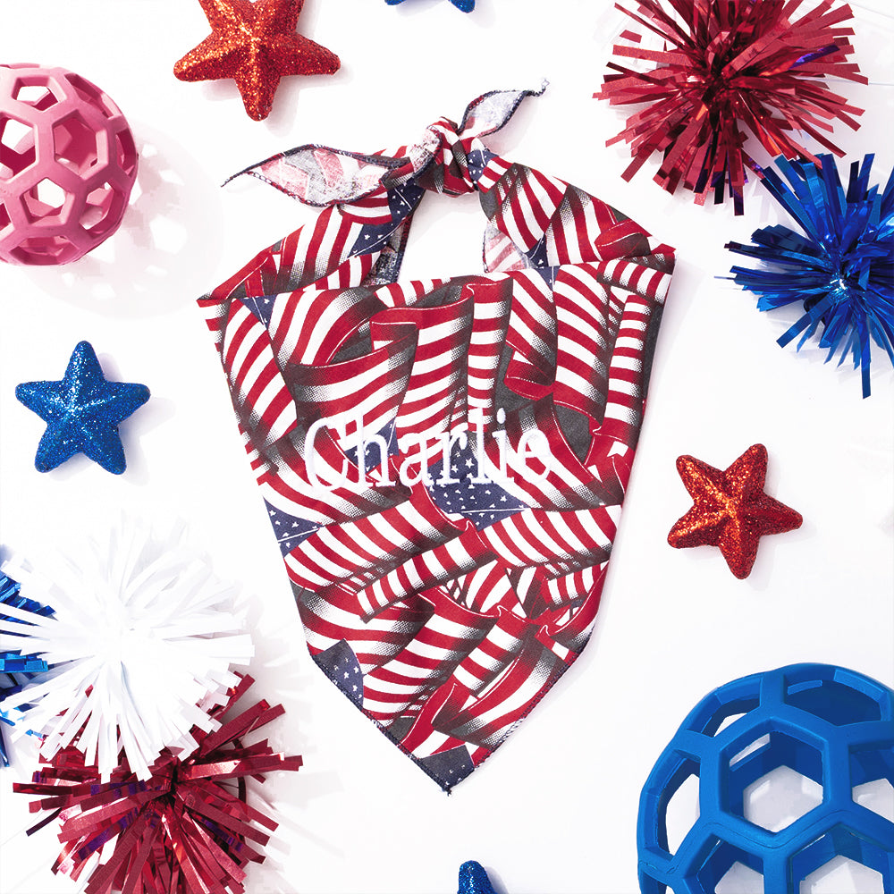 flag dog bandana flatlay