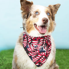 flag dog bandana on dog