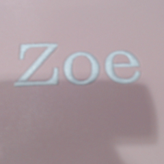 BLOOPER ACCESSORY: Monogrammed Desk Mat
