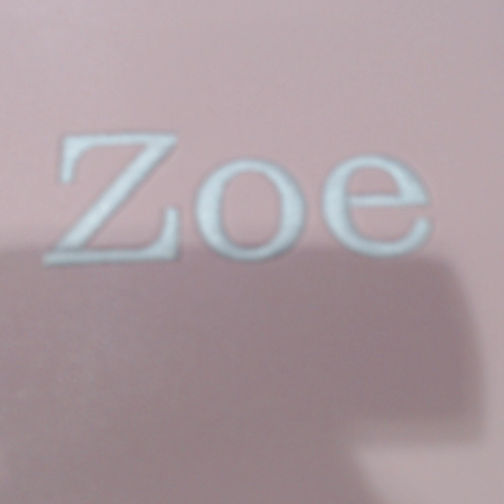 BLOOPER ACCESSORY: Monogrammed Desk Mat