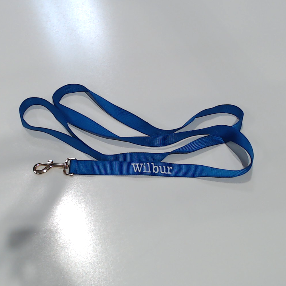BLOOPER ACCESSORY: Personalized Dog Leash