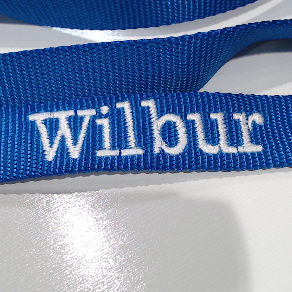 BLOOPER ACCESSORY: Personalized Dog Leash