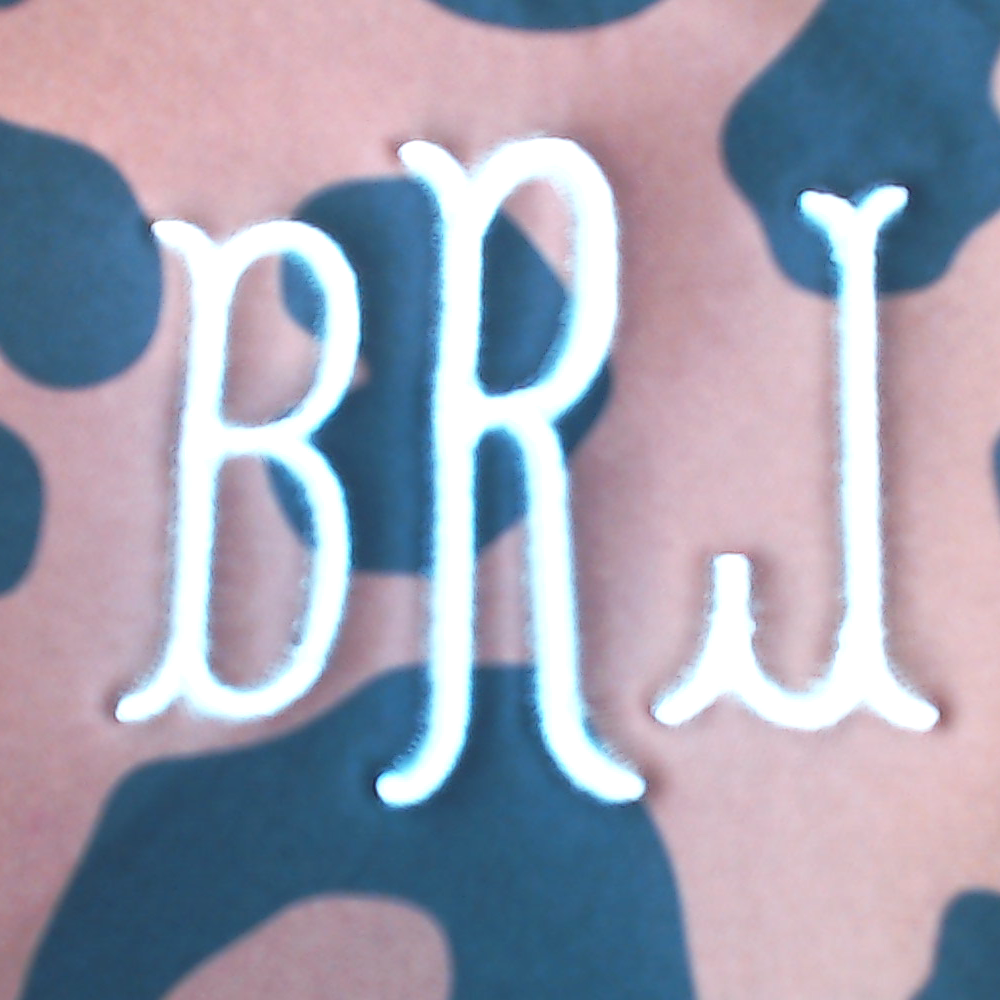 BLOOPER BAG: Monogrammed Crossbody Bag