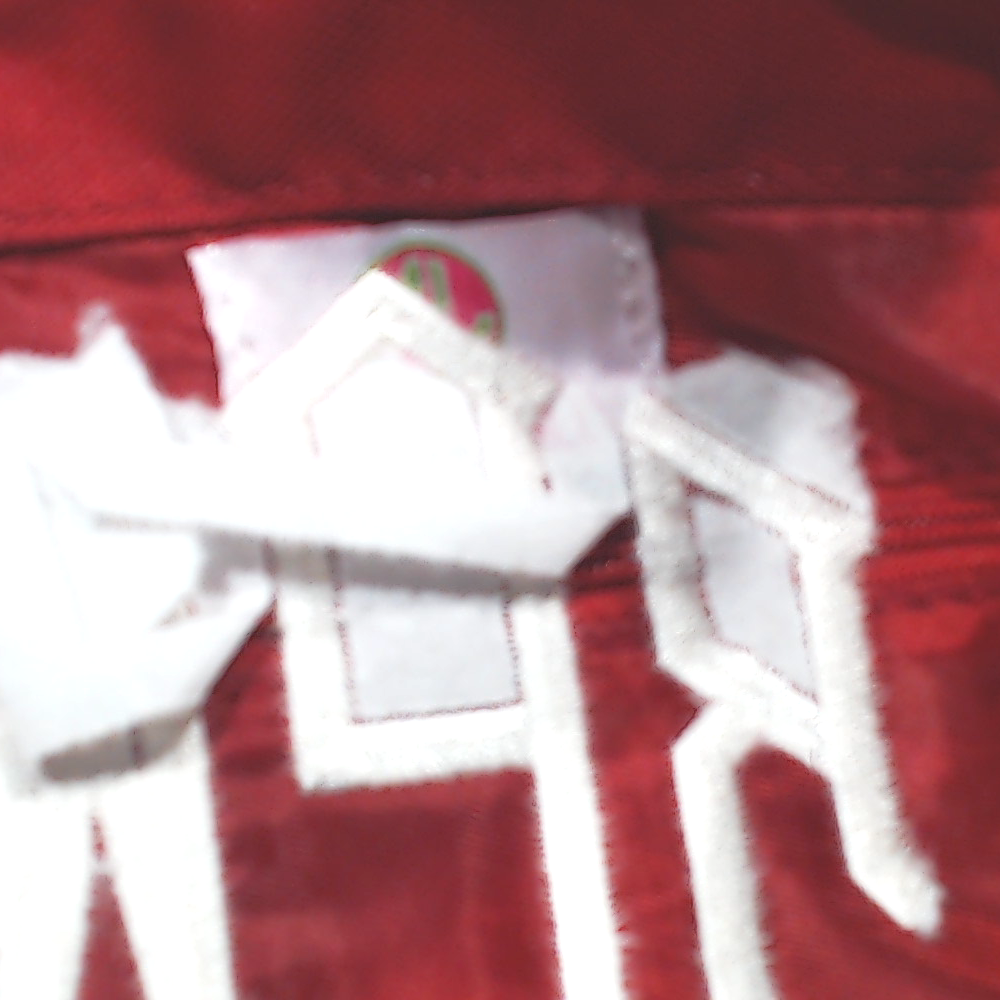 BLOOPER BAG: Monogrammed Extra Large Tote Bag