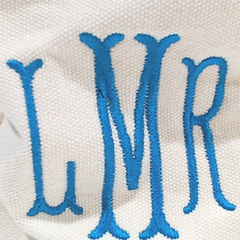 BLOOPER ACCESSORY: Personalized Tissue Box Cover