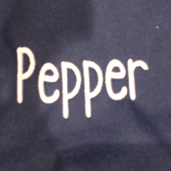 BLOOPER KIDS: Monogrammed Kids Weekend Bag