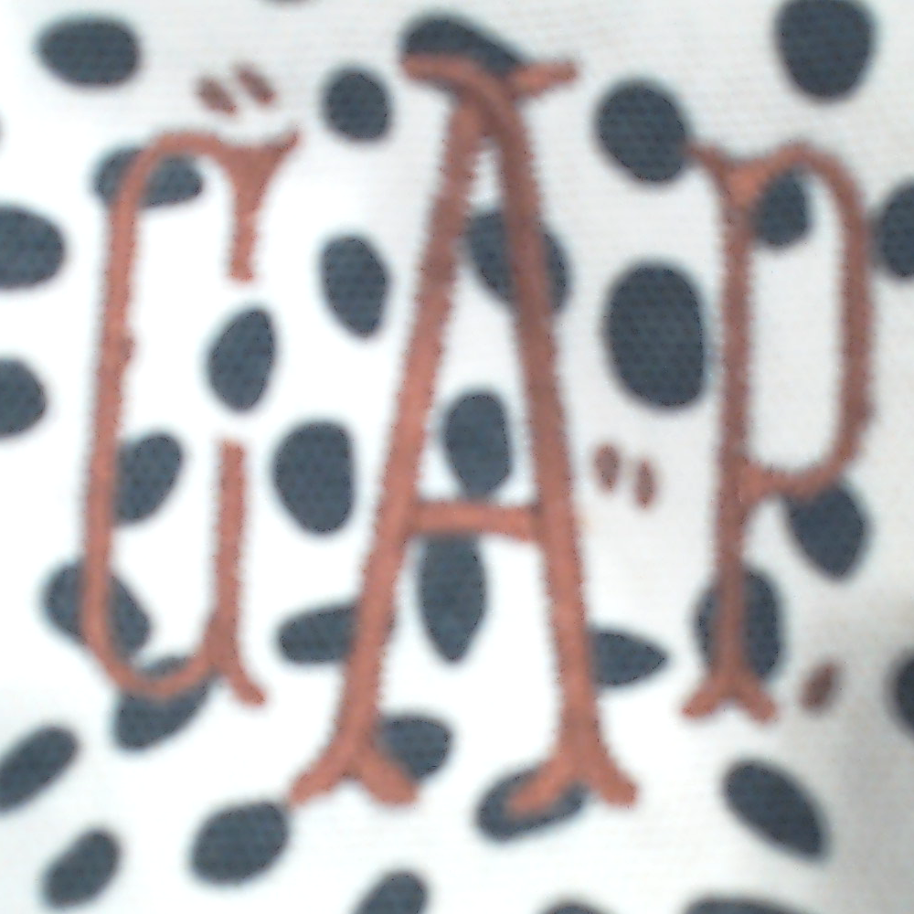 BLOOPER BAG: Monogrammed Keychain Wallet