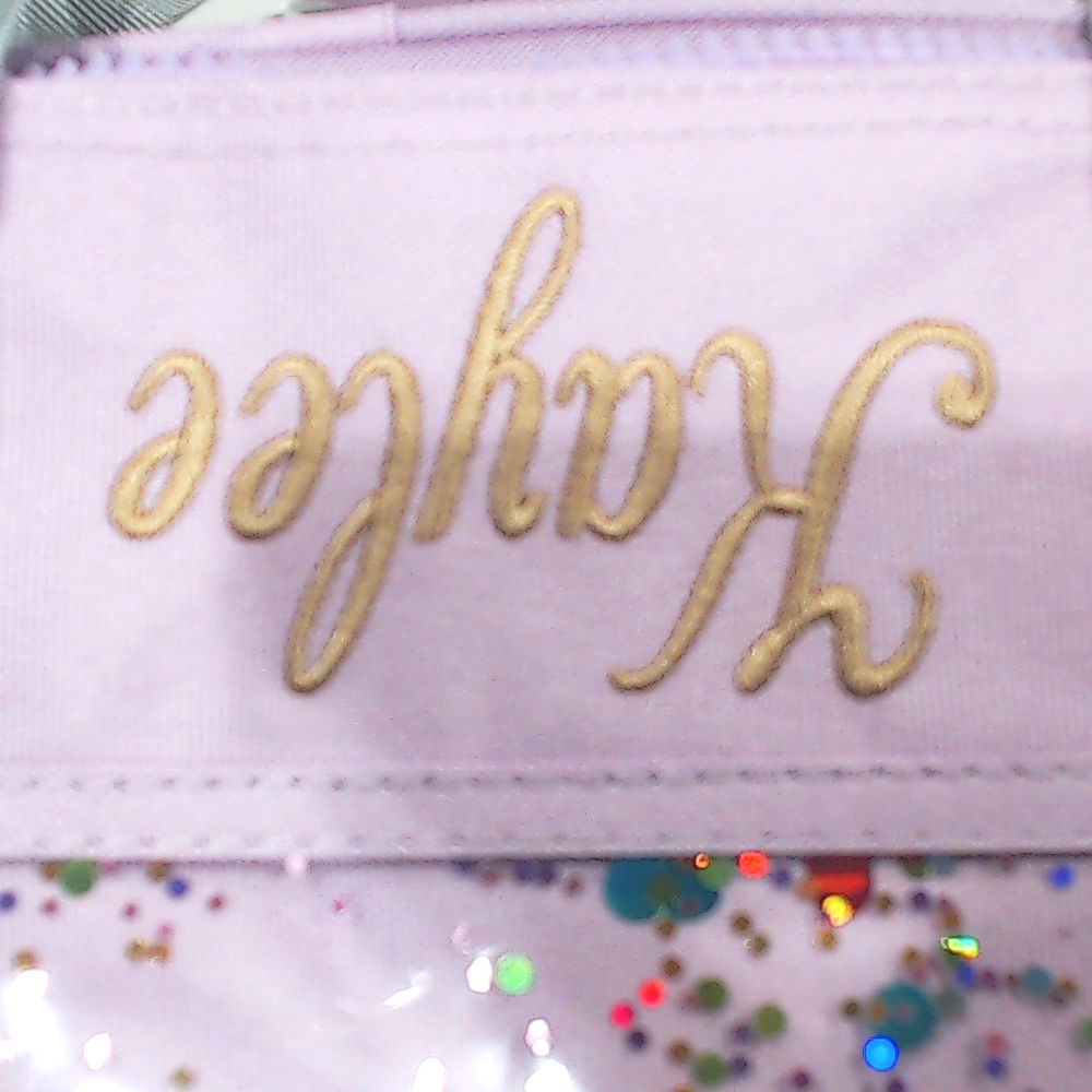 BLOOPER BAG: Monogrammed Small Cooler