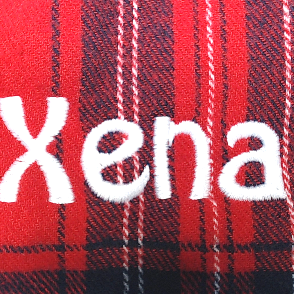 BLOOPER ACCESSORY: Personalized Dog Bandana