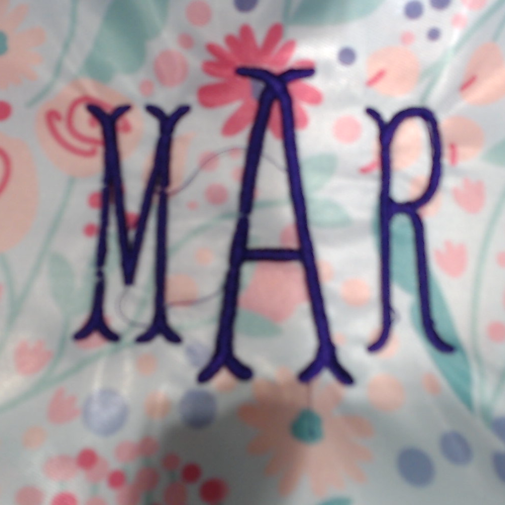 BLOOPER ACCESSORY: Personalized Lunch Box