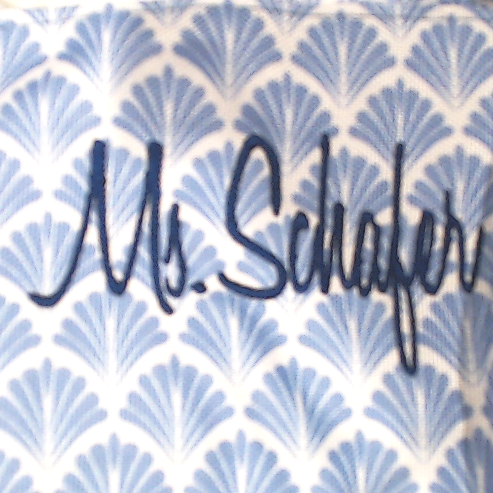 BLOOPER BAG: Monogrammed Clear Beach Tote
