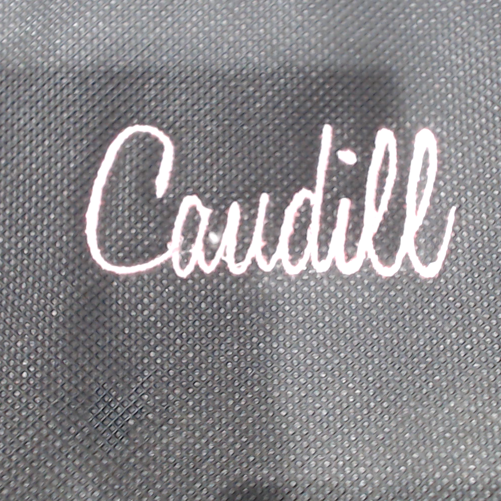 BLOOPER BAG: Monogrammed Reusable Insulated Bag