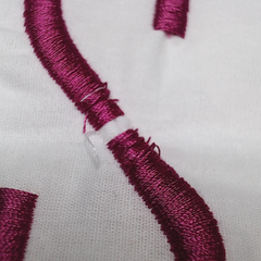 BLOOPER ACCESSORY: Monogrammed Pillow Sham