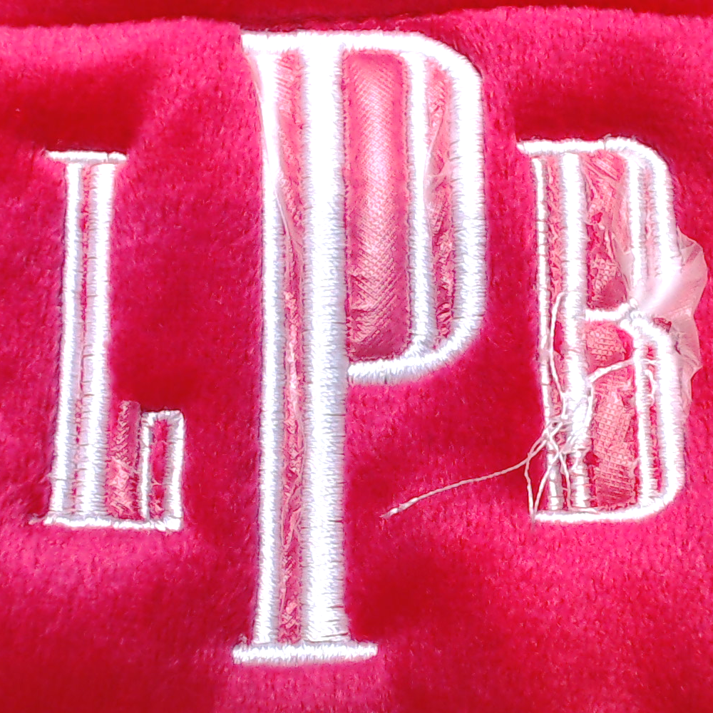 BLOOPER KIDS: Monogrammed Kids Softspun Sweatshirt