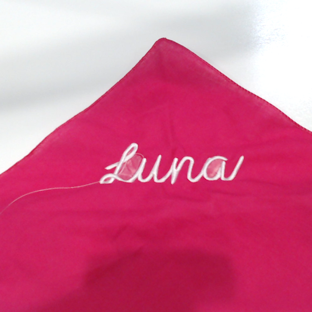 BLOOPER ACCESSORY: Personalized Dog Bandana