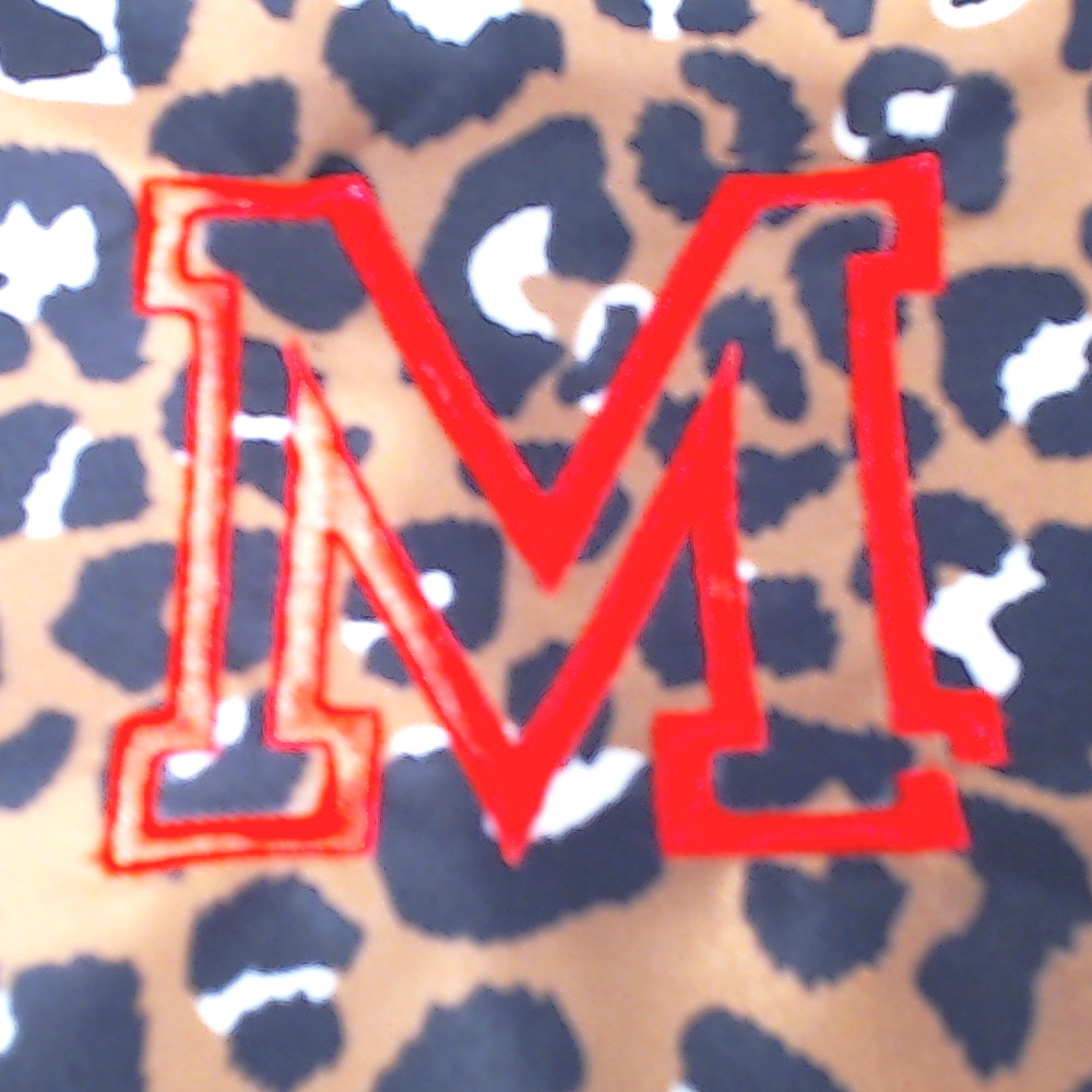 BLOOPER BAG: Personalized Lunch Box