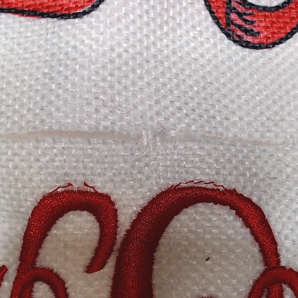 BLOOPER ACCESSORY: Monogrammed Christmas Pillow Sham