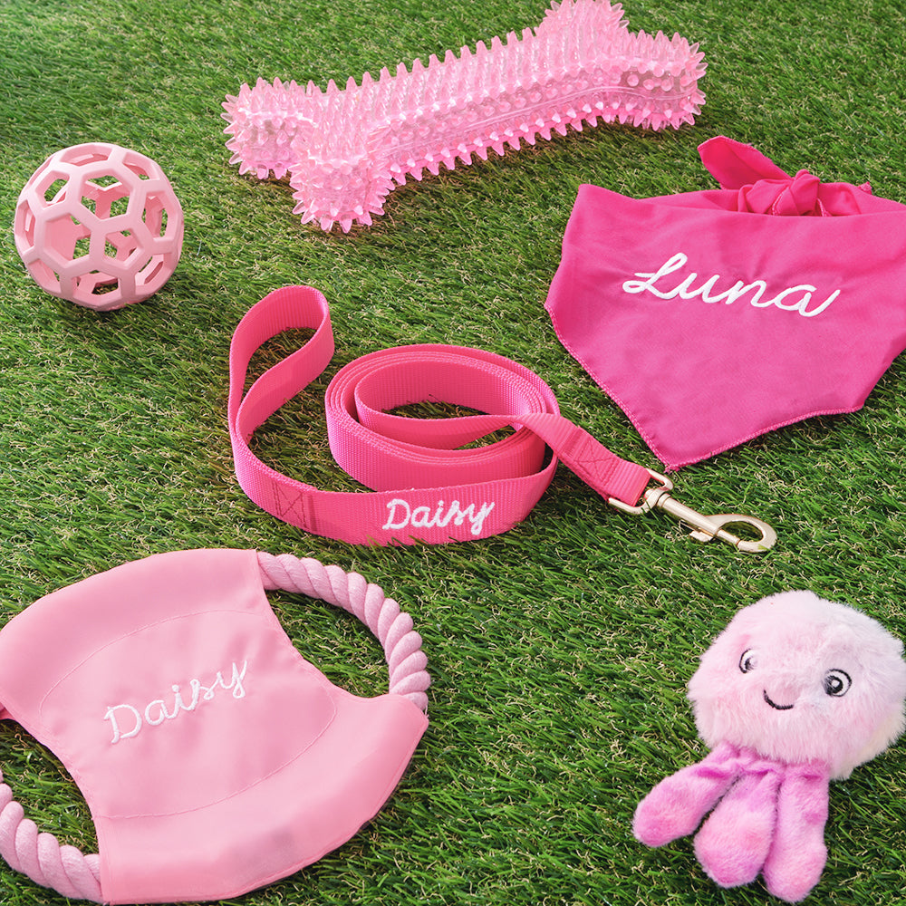 matching pink personalized frisbee leash and bandana