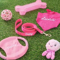 matching pink personalized frisbee leash and bandana