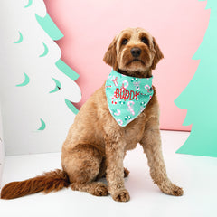 merry mint dog bandana on ginger