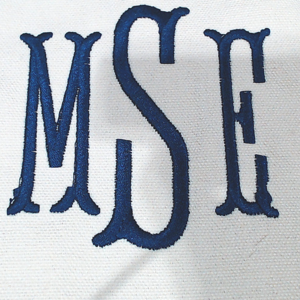 BLOOPER BAG: Monogrammed Trunk Organizer
