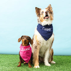 navy and hot pink dog bandanas