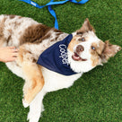 Personalized Dog Bandana | Navy