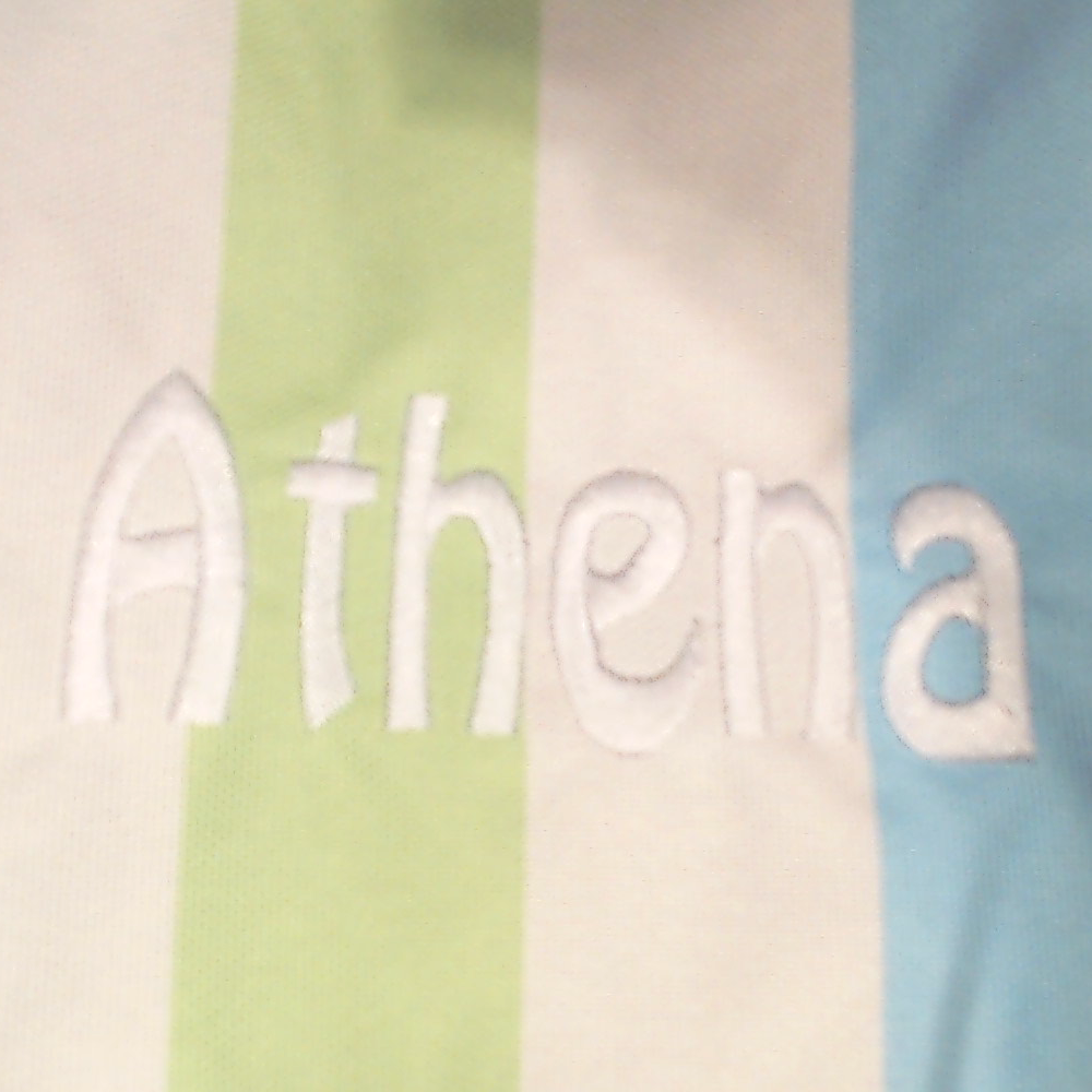 BLOOPER BAG: Monogrammed Extra Large Tote Bag