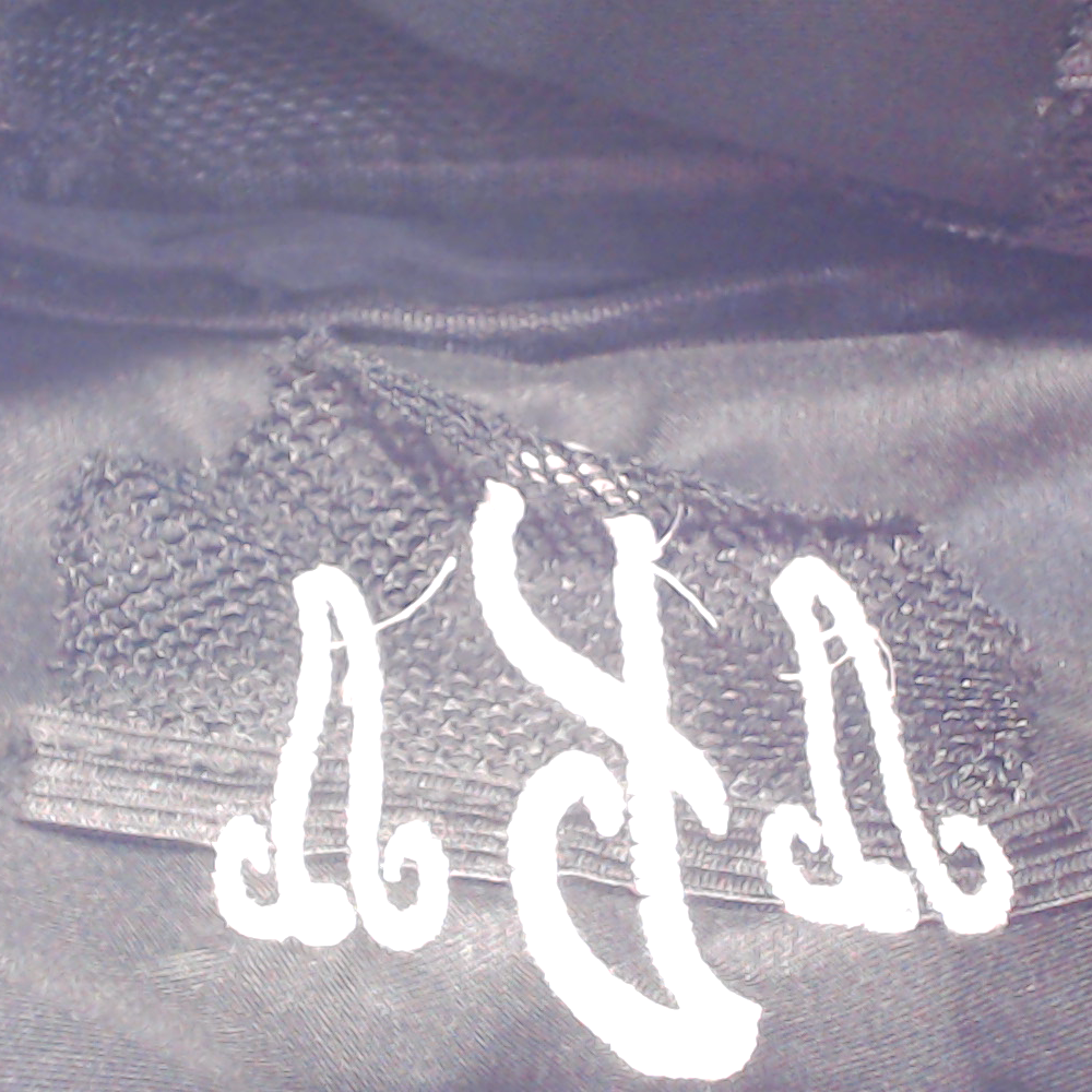 BLOOPER BAG: Monogrammed Belt Bag