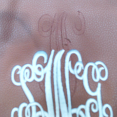 BLOOPER BAG: Monogrammed Hobo Purse