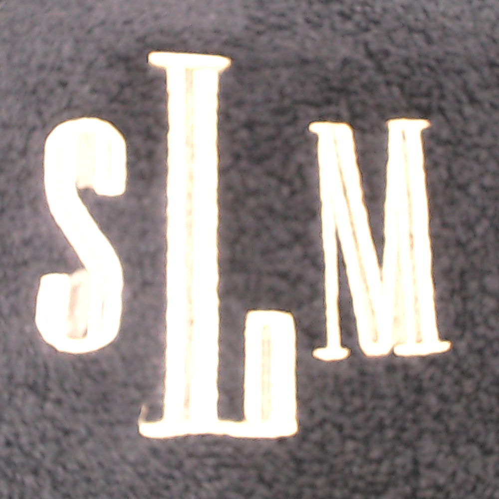 BLOOPER ACCESSORY: Monogrammed Bath Towel