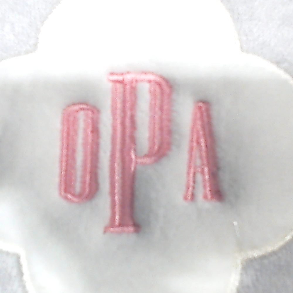 BLOOPER SHOES: Monogrammed Slippers