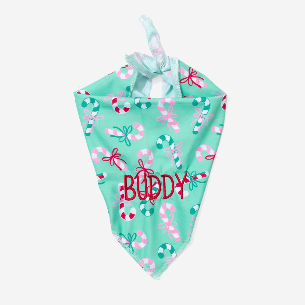 personalized dog bandana in merry mint