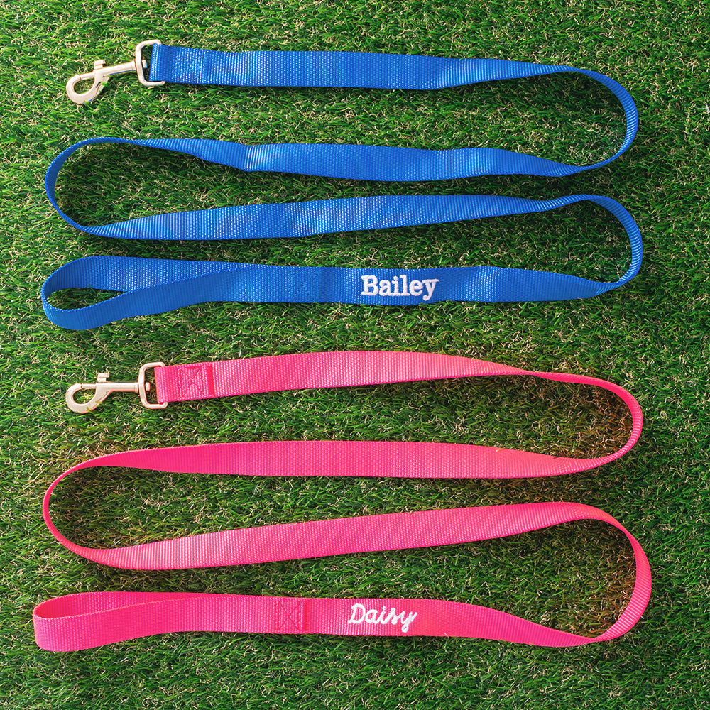 personalized dog leash in blue and hot pink