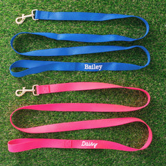 personalized dog leash in blue and hot pink