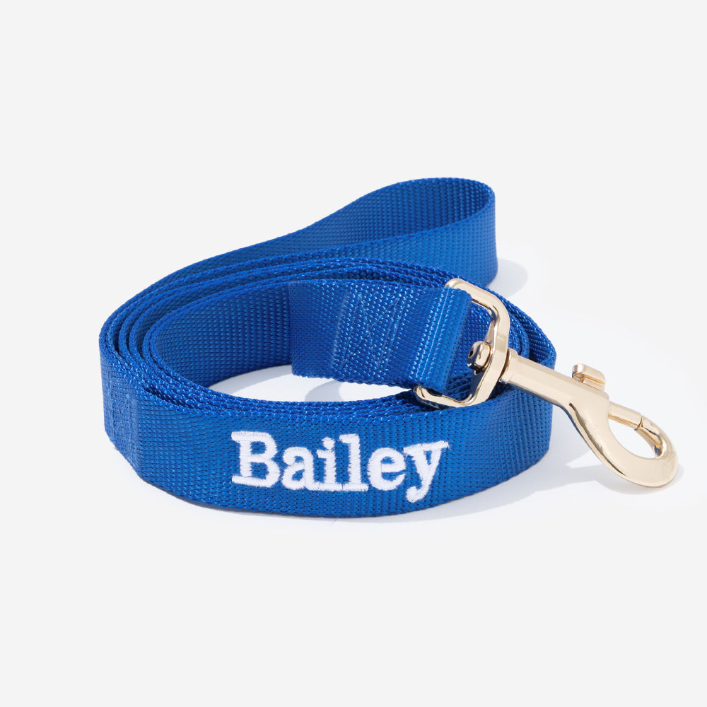 personalized dog leash in blue