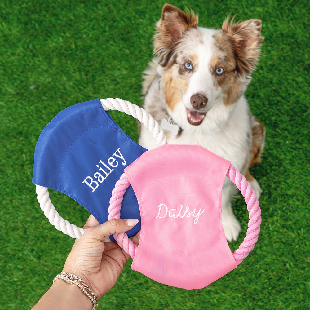 dog with blue and pink monogrammed frisbee