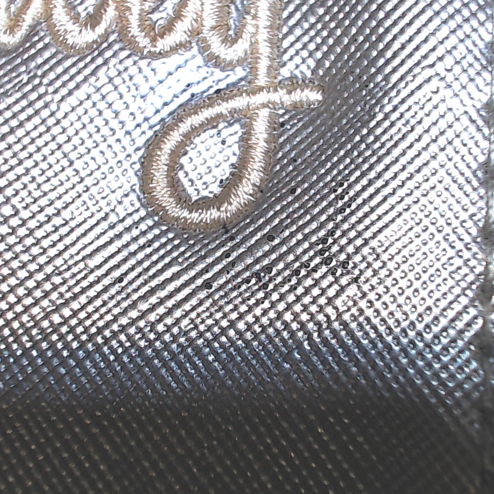 BLOOPER BAG: Monogrammed Clear Ditty Bag