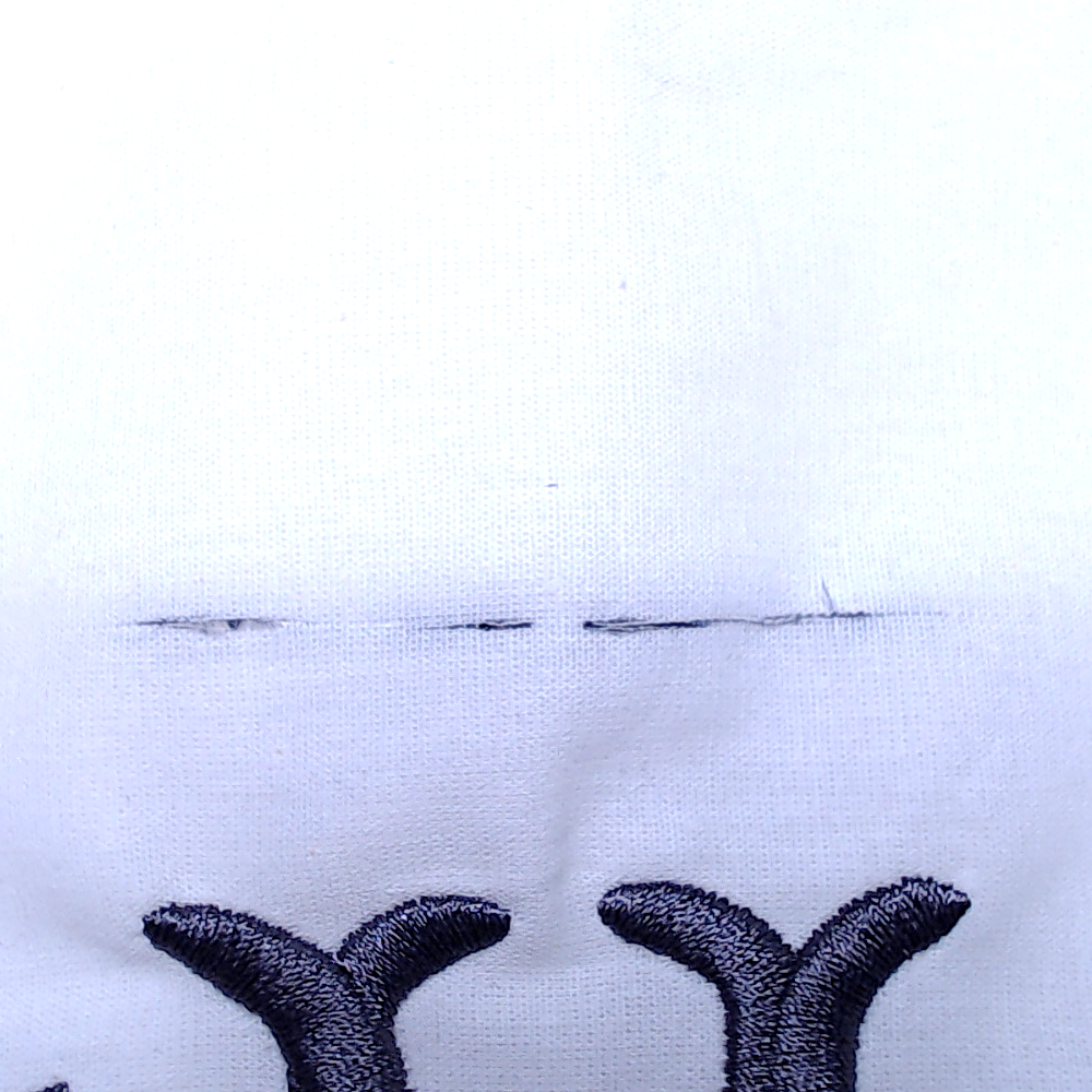 BLOOPER ACCESSORY: Monogrammed Pillow Sham