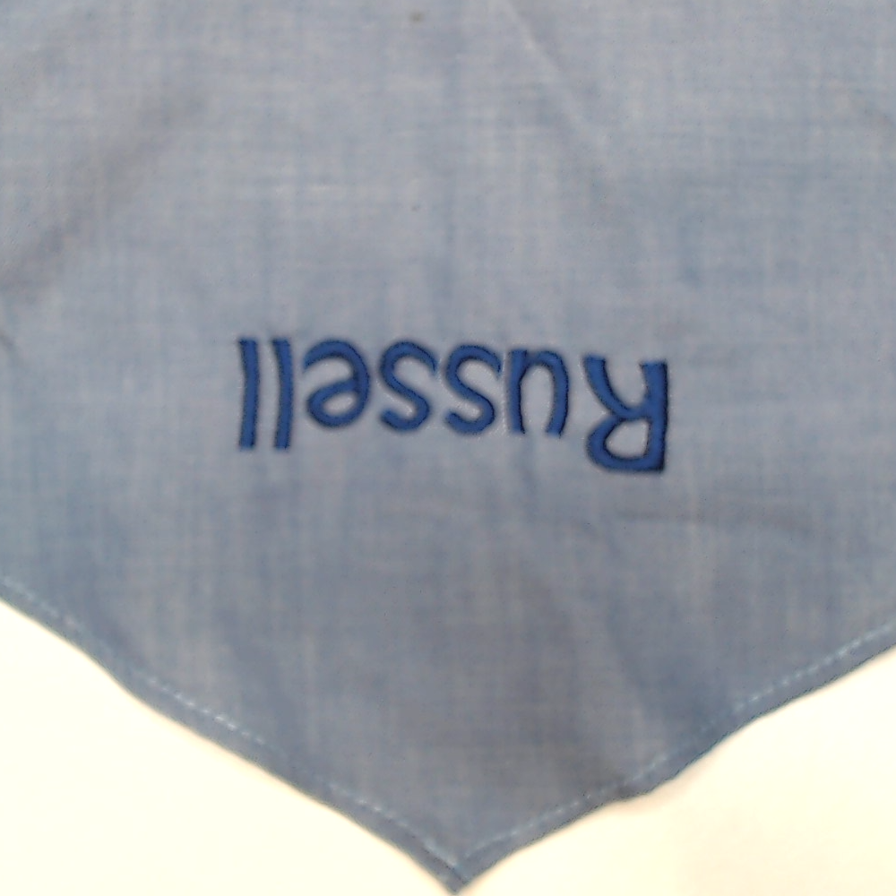 BLOOPER ACCESSORY: Personalized Dog Bandana