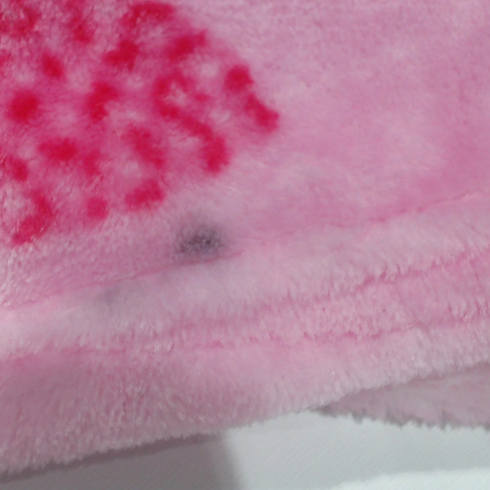 BLOOPER ACCESSORY: Personalized Plush Blanket