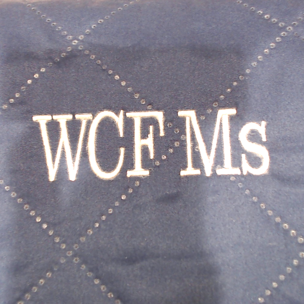 BLOOPER ACCESSORY: Personalized Picnic Blanket