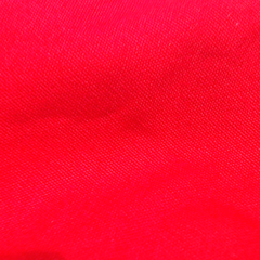 BLOOPER ACCESSORY: Personalized Christmas Tree Skirt