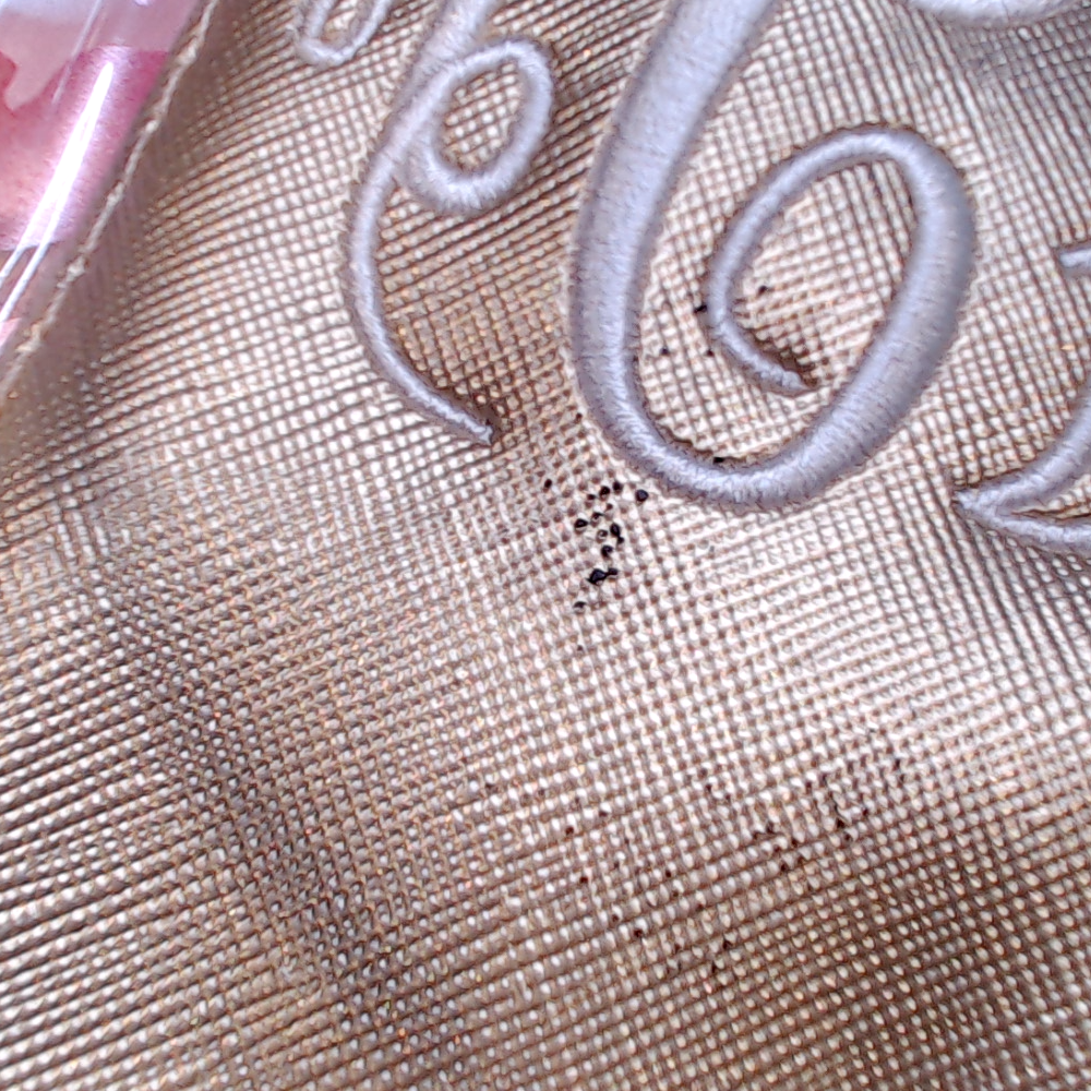 BLOOPER BAG: Monogrammed Clear Ditty Bag