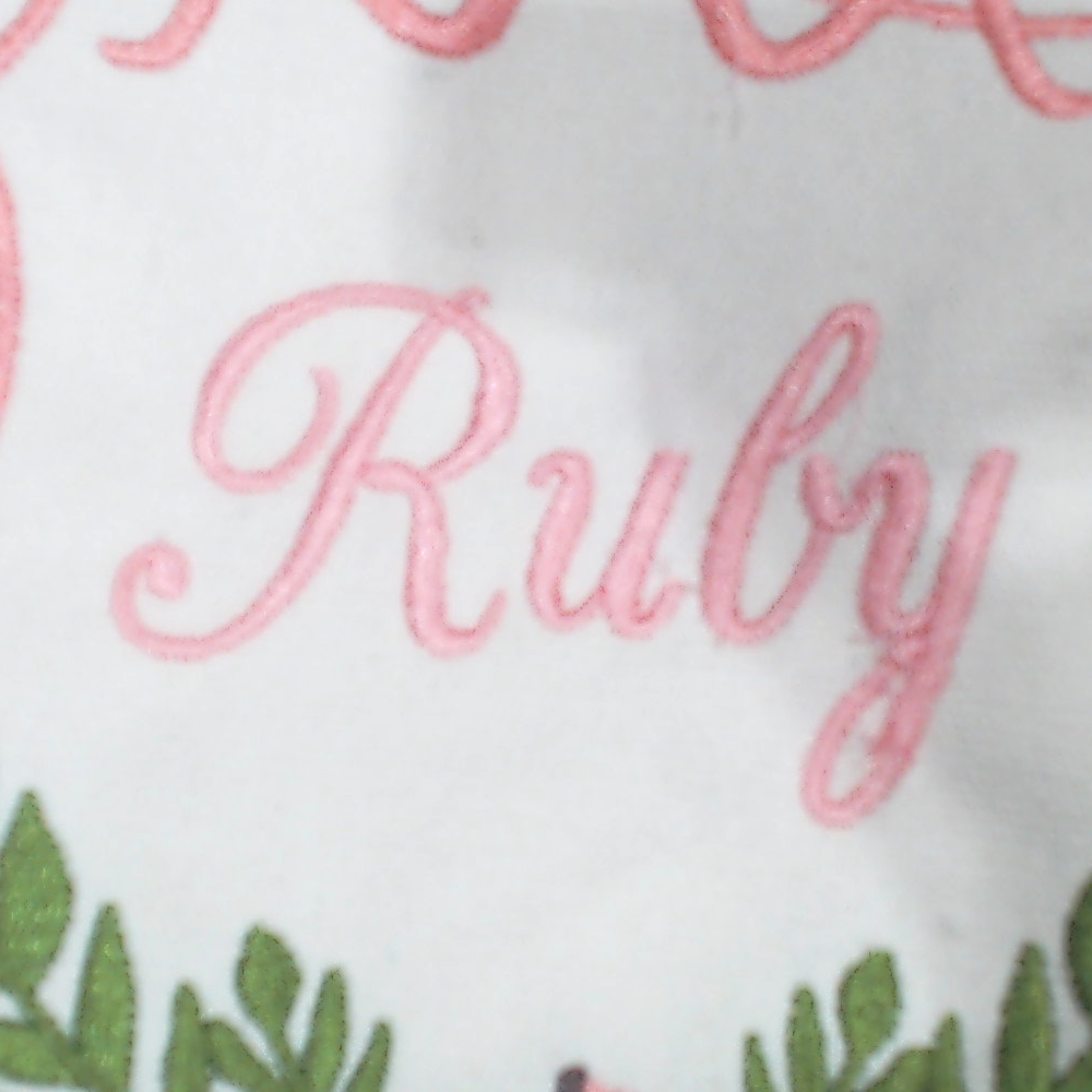 BLOOPER KIDS: Personalized New Baby Banner