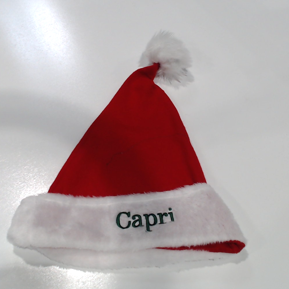 BLOOPER ACCESSORY: Personalized Santa Hat