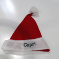 BLOOPER ACCESSORY: Personalized Santa Hat