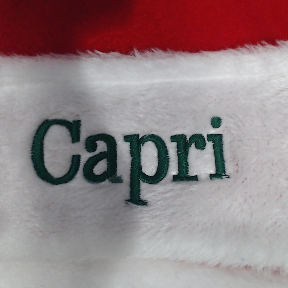 BLOOPER ACCESSORY: Personalized Santa Hat