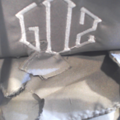 BLOOPER BAG: Monogrammed Sling Bag